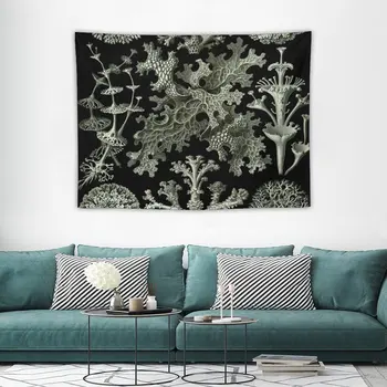 Гобелен с рисунком лишайников Геккеля, украшающий комнату эстетическими гобеленами 2