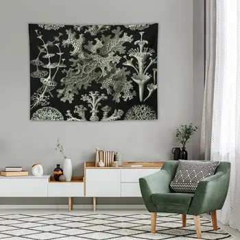 Гобелен с рисунком лишайников Геккеля, украшающий комнату эстетическими гобеленами 3